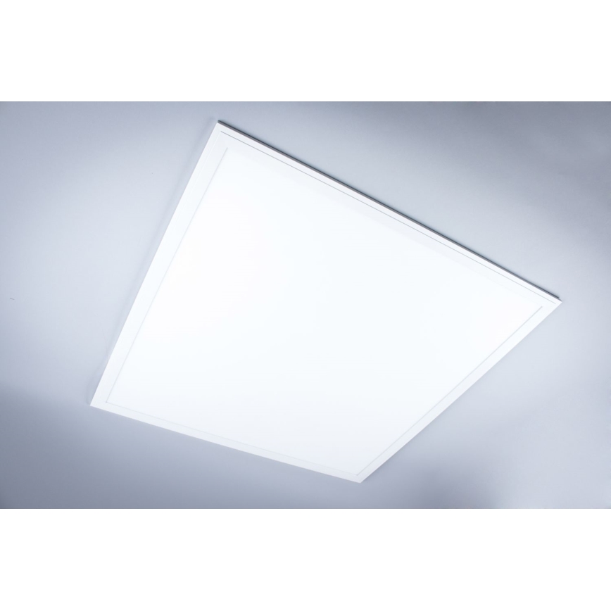 LED-kylpyhuonepaneeli LED/40W/230V 4000K 59,5x59,5 cm IP65 valkoinen