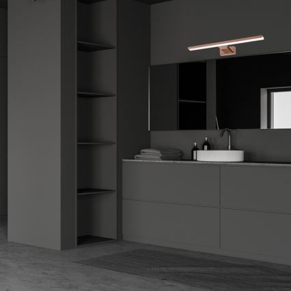 LED-kylpyhuoneen peilivalaisin SHINE LED/13,8W/230V 60 cm IP44 ruusukulta