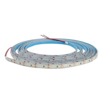 LED kylpyhuonenauha DAISY 5m lämmin valkoinen IP65