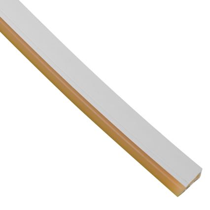LED kylpyhuonenauha NEON EKO-FLEX LED/250W/12V IP65 25m oranssi