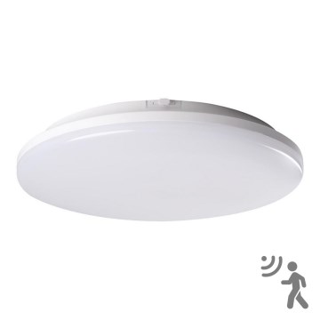 LED kylpyhuonevalaisin anturilla STIVI LED/24W/230V IP65