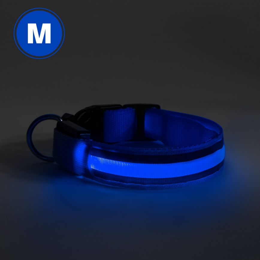 LED ladattava koiran kaupanta 40-48 cm 1xCR2032/5V/40 mAh sininen