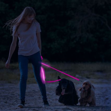 LED ladattava talutushihna 120 cm 2xCR2032/5V/40 mAh pinkki