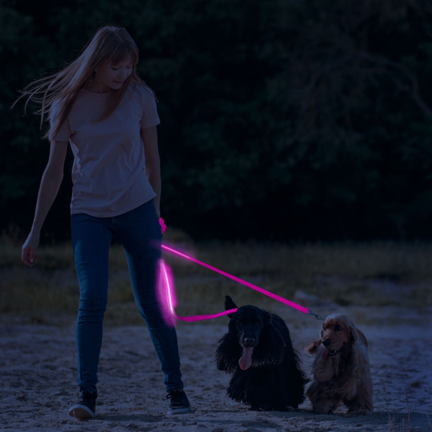 LED ladattava talutushihna 120 cm 2xCR2032/5V/40 mAh pinkki