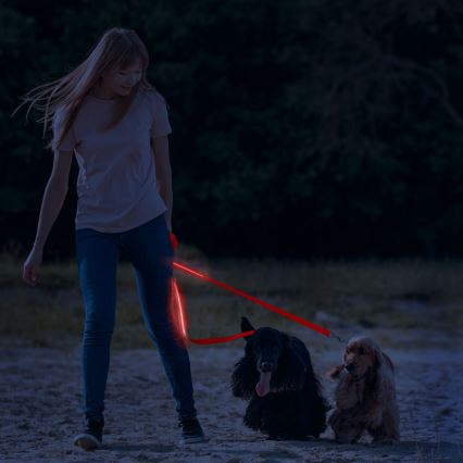 LED ladattava talutushihna 120 cm 2xCR2032/5V/40 mAh punainen