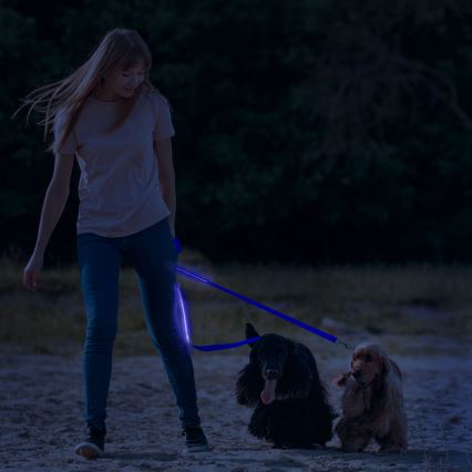 LED ladattava talutushihna 120 cm 2xCR2032/5V/40 mAh sininen