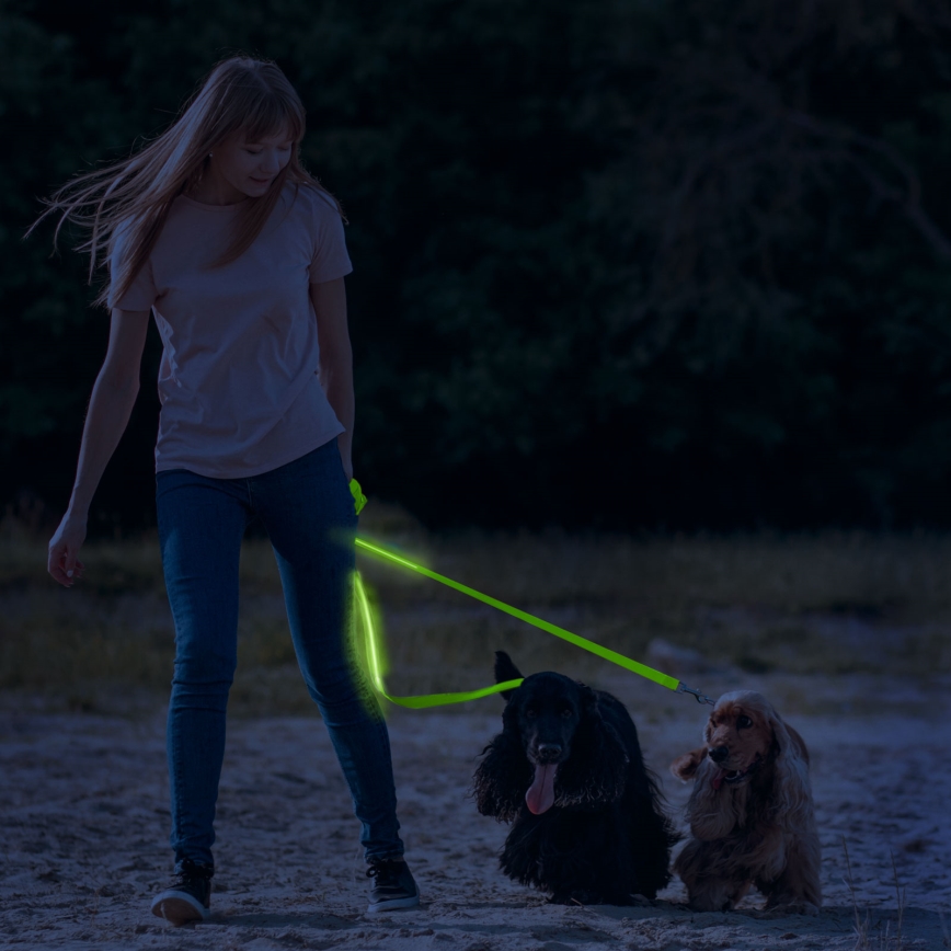 LED ladattava talutushihna 120 cm 2xCR2032/5V/40 mAh vihreä