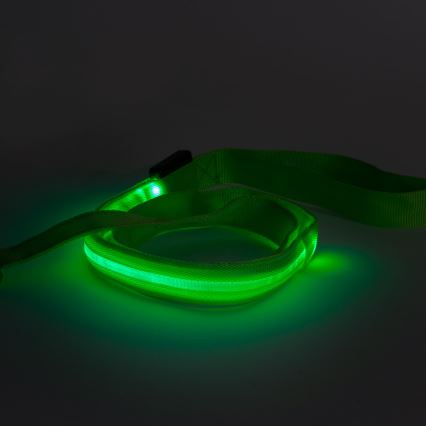 LED ladattava talutushihna 120 cm 2xCR2032/5V/40 mAh vihreä