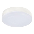 LED-lamppu GX53/6,4W/230V 4000K