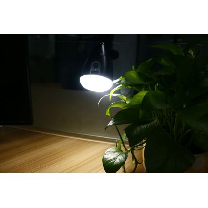 LED-lamppu KLIP USB-latauksella LED / 5W / 5V 4000K