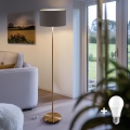 LED-lattiavalaisin TUNJA 1xE27/20W/230V halkaisija 38 cm kultainen/ruskea