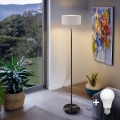 LED-lattiavalaisin TUNJA 1xE27/20W/230V Ø 30 cm musta/valkoinen