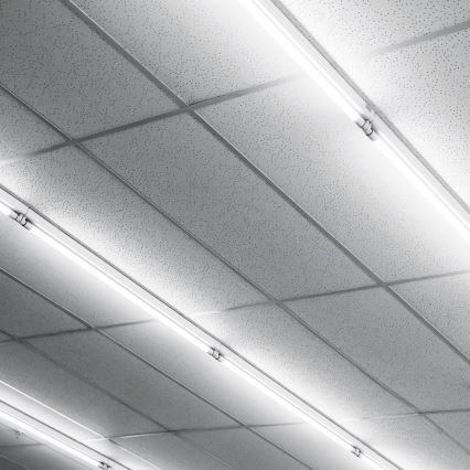 LED-loisteputki G13/20W/230V 4000K 150 cm