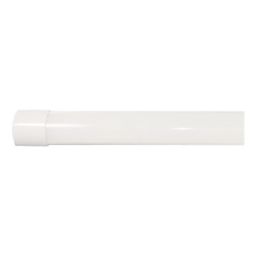 LED Loisteputki LED/40W/230V 3000/4000/6500K 116 cm