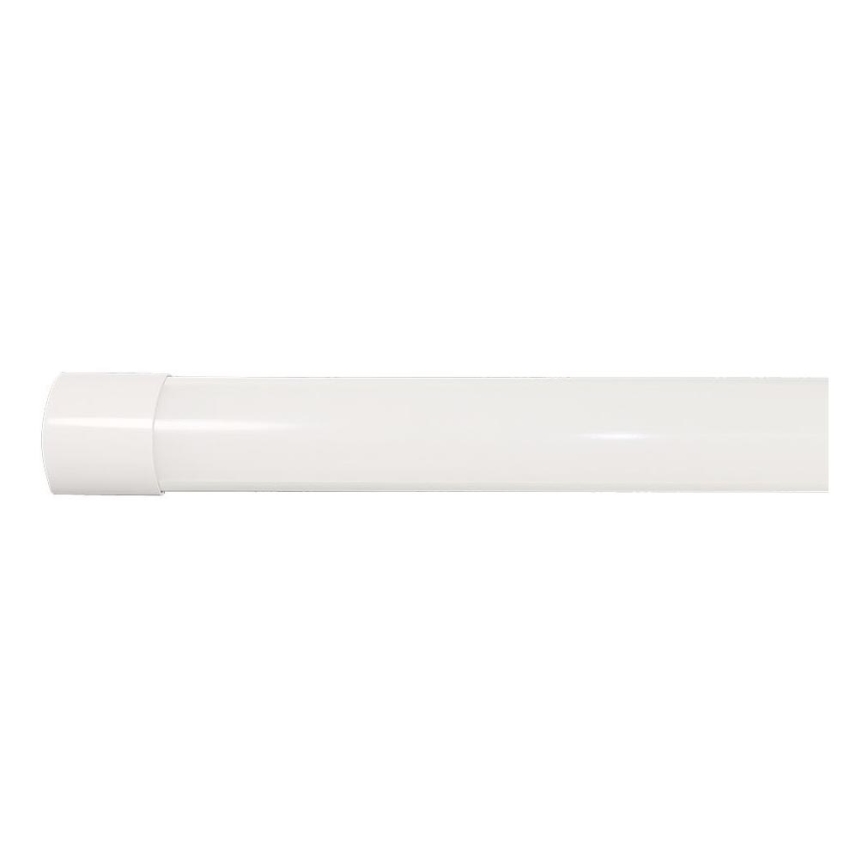 LED Loisteputki LED/40W/230V 3000/4000/6500K 116 cm