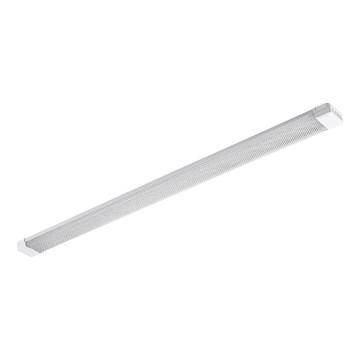 LED Loisteputki LED/72W/230V 4000K 120 cm