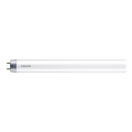 LED Loisteputki Philips T8 G13/16W/230V 3000K 120 cm