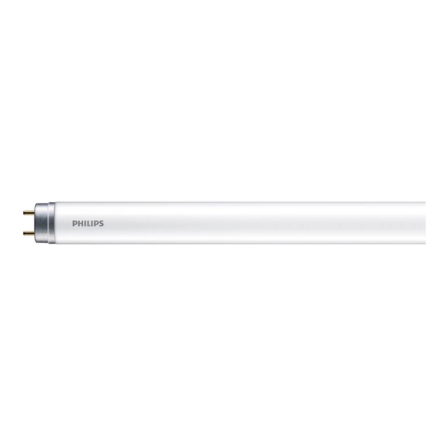 LED Loisteputki Philips T8 G13/16W/230V 6500K 120 cm
