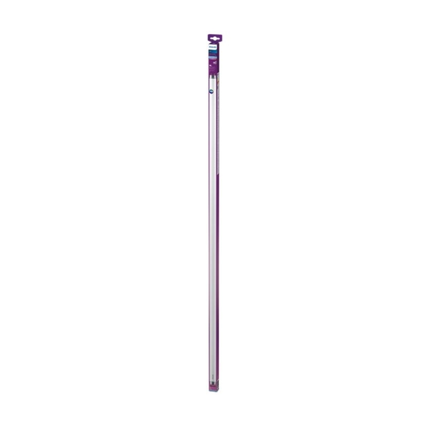 LED Loisteputki Philips T8 G13/16W/230V 6500K 120 cm