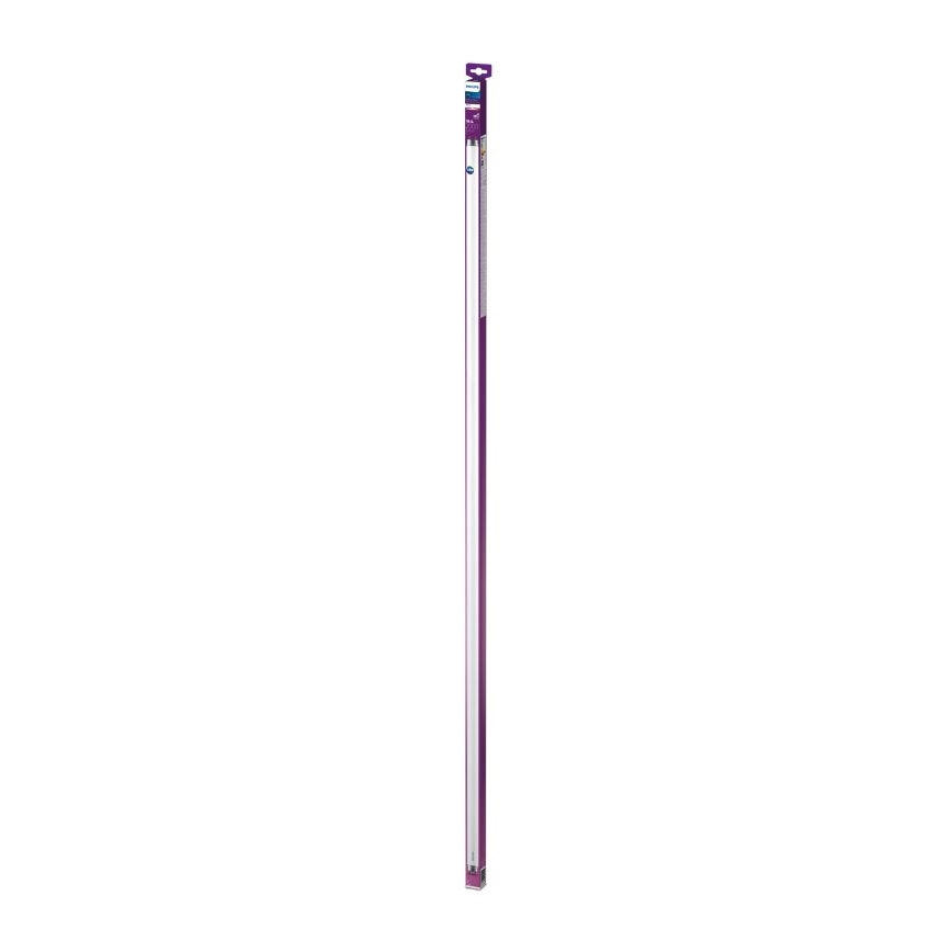 LED Loisteputki Philips T8 G13/19,5W/230V 3000K 150 cm