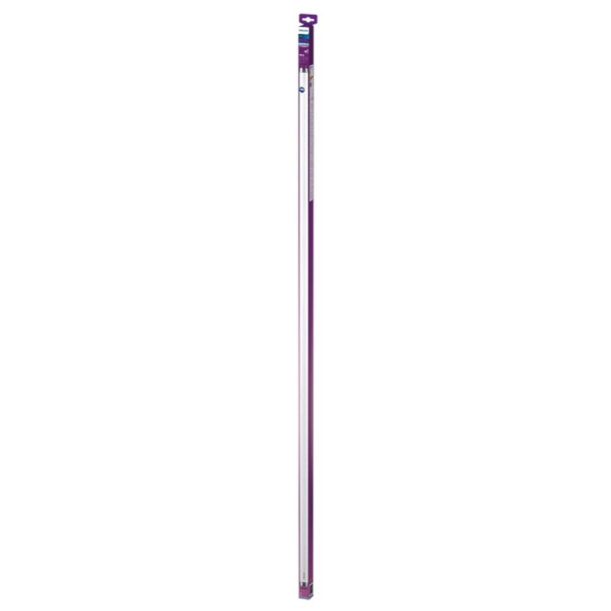 LED Loisteputki Philips T8 G13/19,5W/230V 6500K 150 cm