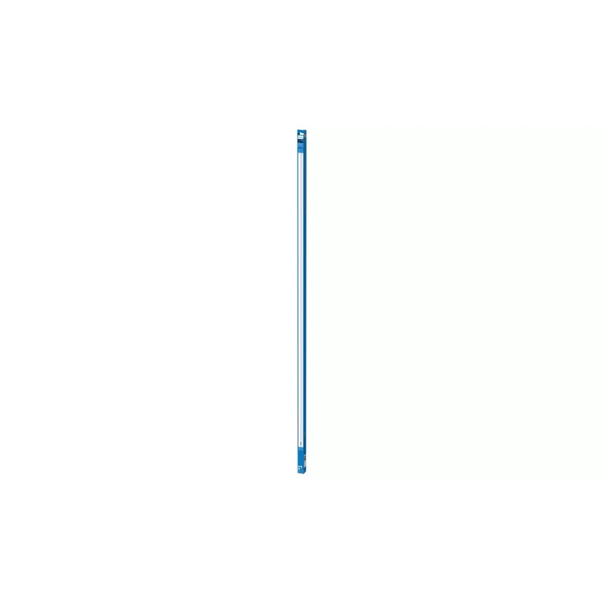 LED-loisteputki Philips T8 G13/31,5W/230V 3000K 150 cm