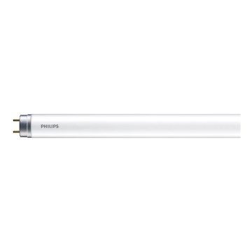 LED Loisteputki Philips T8 G13/8W/230V 4000K 60 cm