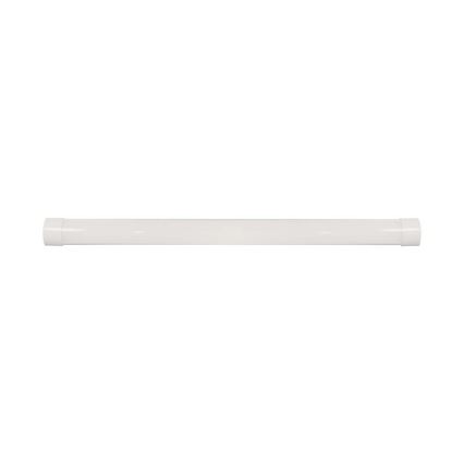 LED Loisteputki SAMSUNG CHIP LED/40W/230V 3000K 120 cm