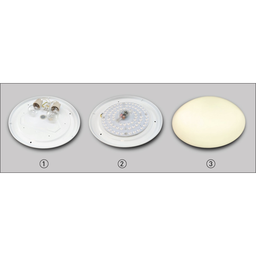 LED-magneettimoduuli LED/36W/230V d. 21 cm 4000K