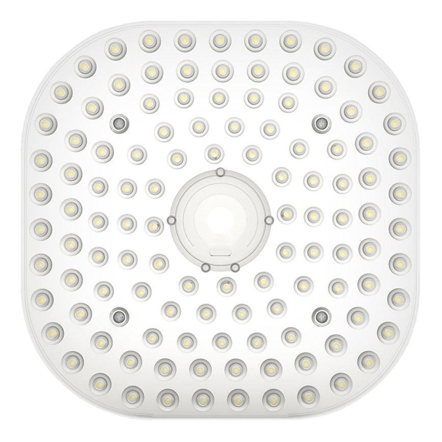 LED-moduuli MODULE LED/30W/230V