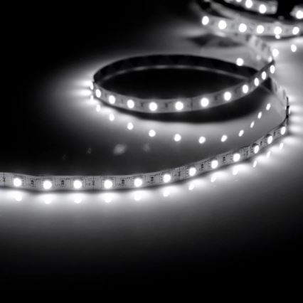 LED-nauha 5m 28W/12V IP20 6500K