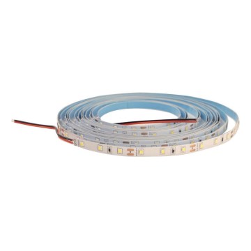 LED-nauha DAISY 5m lämmin valkoinen