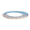 LED-nauha DAISY 5m lämmin valkoinen