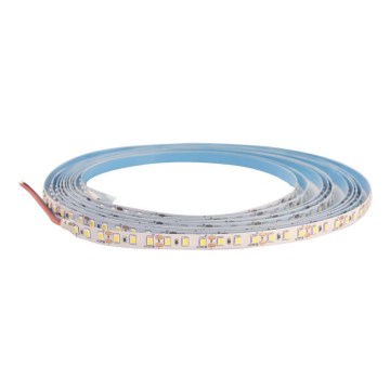 LED-nauha DAISY 5m lämmin valkoinen