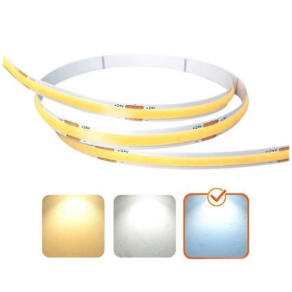 LED-nauha TRAMO LED/500W/24V 50 m 6500K