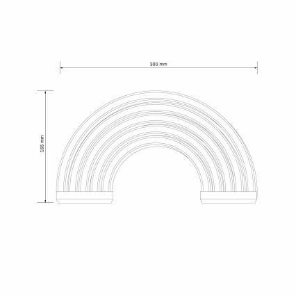 LED Neon seinäkoriste RAINBOW LED/3W/3xAA USB monivärinen