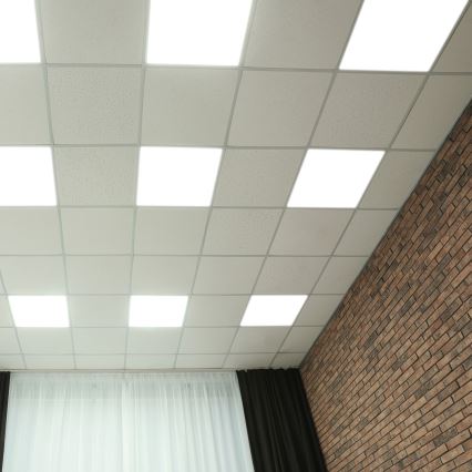 LED-paneeli LED/48W/230V 4000K 60x60 cm