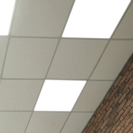 LED-paneeli LED/48W/230V 4000K 60x60 cm