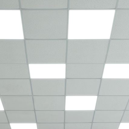 LED-paneeli LED/48W/230V 4000K 60x60 cm