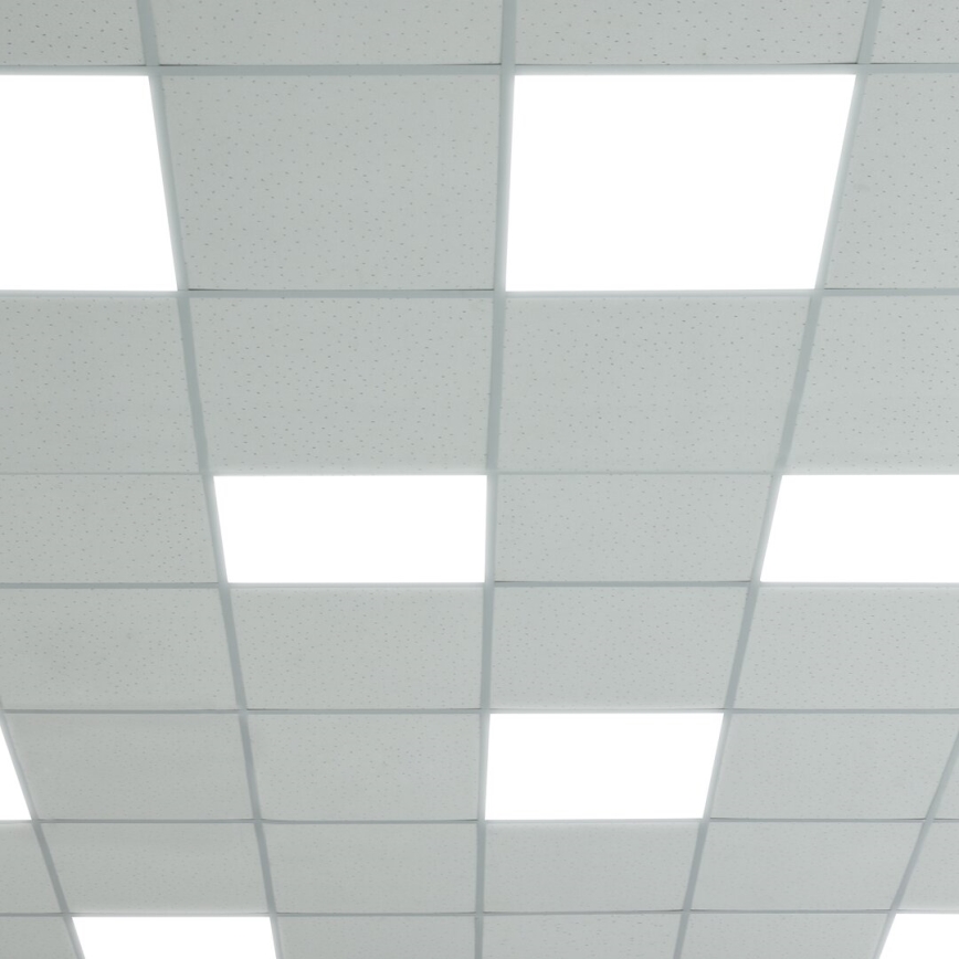 LED-paneeli LED/48W/230V 4000K 60x60 cm