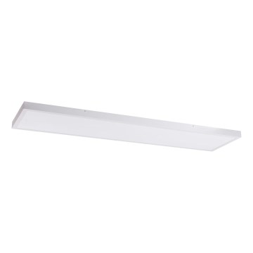 LED-paneeli LED/60W/230V 4000K 30x120 cm valkoinen