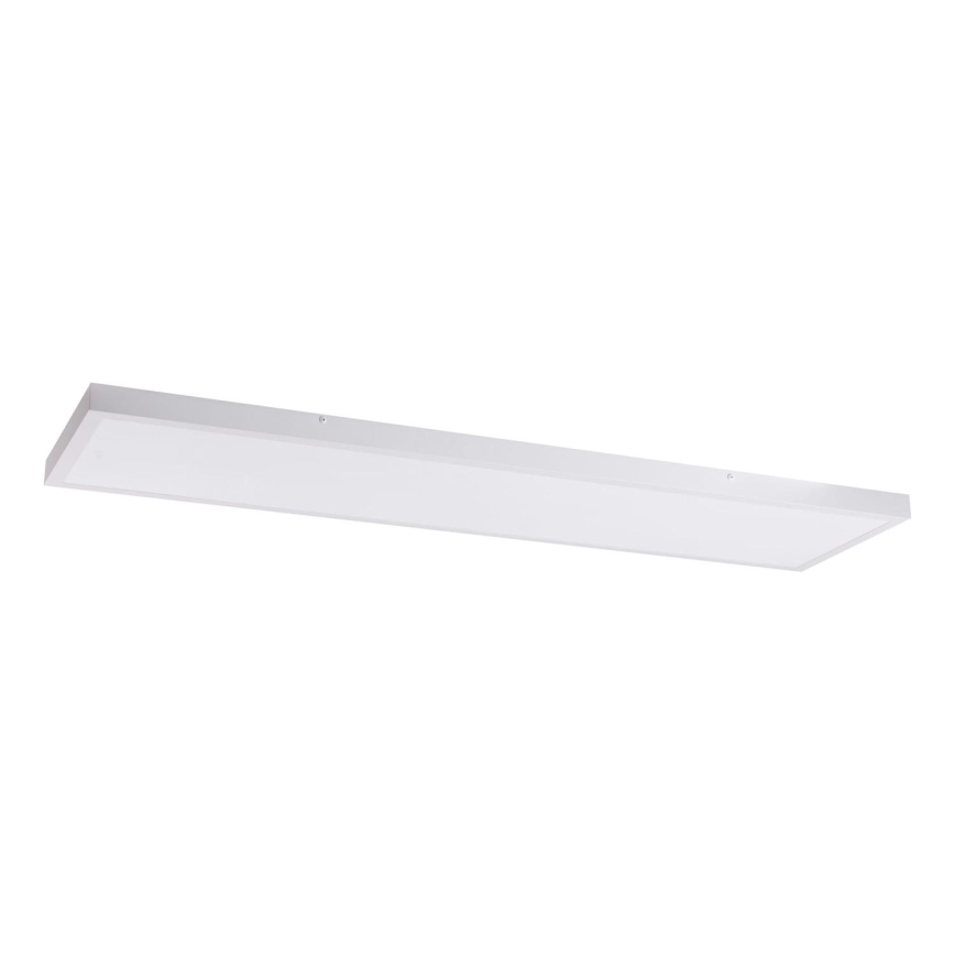 LED-paneeli LED/60W/230V 4000K 30x120 cm valkoinen