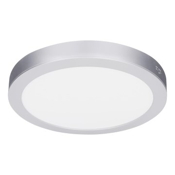 LED pinta- tai uppoasennettava paneeli 2-in-1 24W/230V 3000/4000/6000K Ø 30 cm IP54 hopea