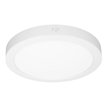 LED-pinta-/upotettava paneeli 2-in-1 24W/230V 3000/4000/6000K Ø 30 cm IP54 valkoinen