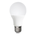 LED-polttimo A60 E27/12W/230V 6500K - Aigostar