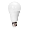 LED-polttimo A60 E27/24W/230V 6500K - Aigostar