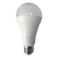 LED-polttimo A65 E27/18W/230V 4200K