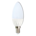 LED-polttimo C37 E14/5W/230V 4100K