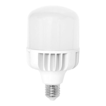 LED-polttimo E40/50W/230V 5000K - Ecolite