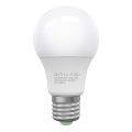 LED-polttimo ECOLINE A60 E27/10W/230V 3000K - Brilagi